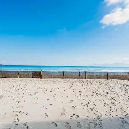 Sun Of The Beach, Vacaciones En La Playa De